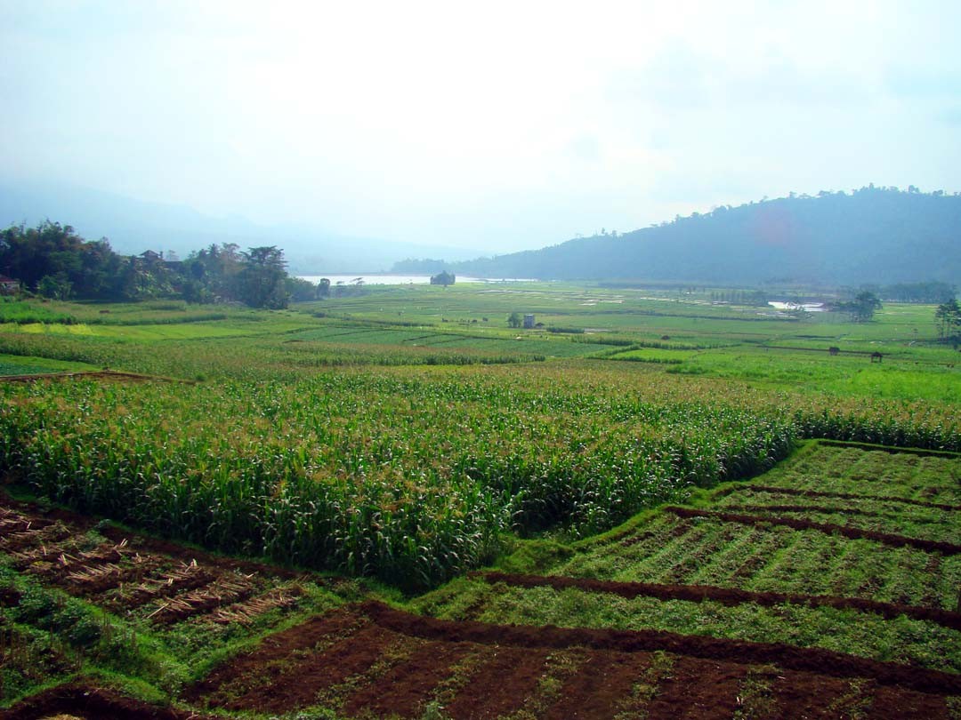 Java paysage