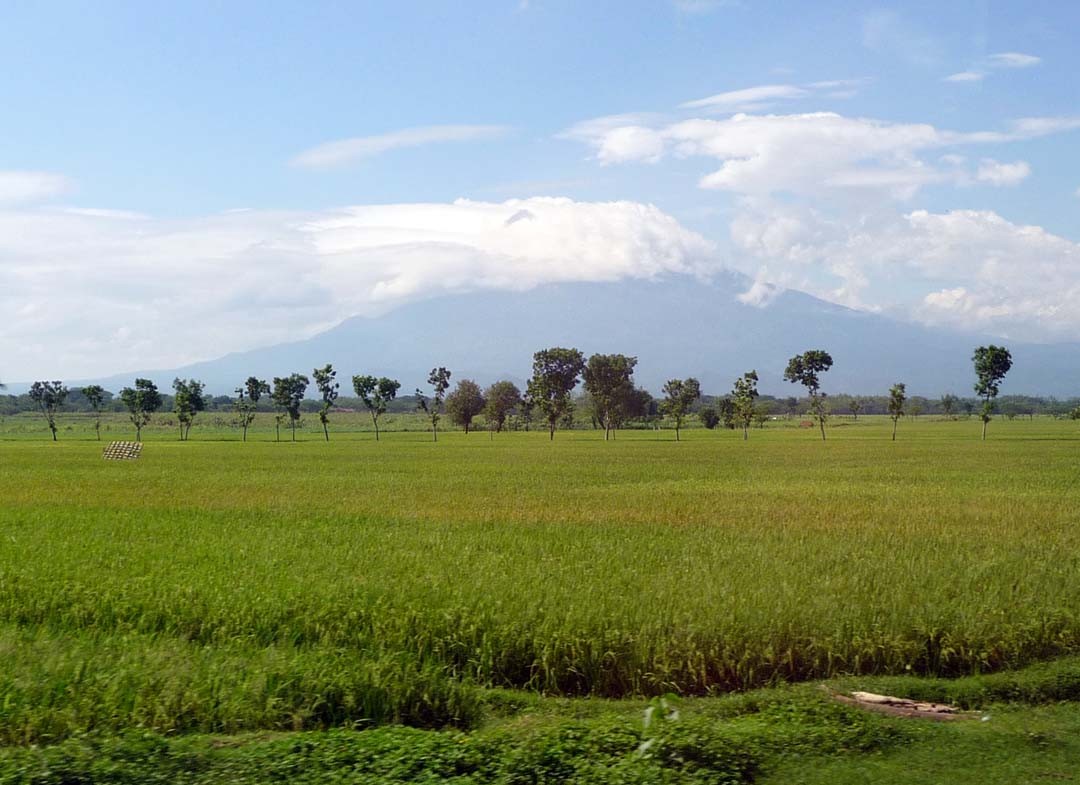 Java paysage