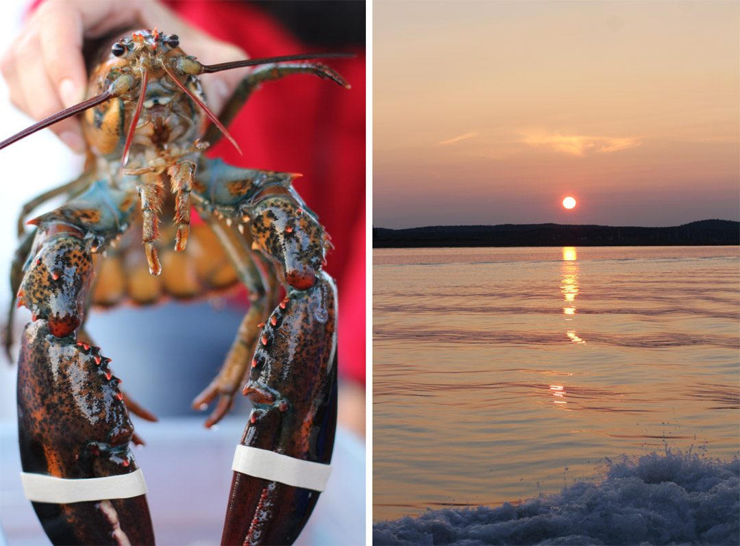 Croisière à Saint Andrews by the sea au Canada et homard bleu du Nouveau Brunswick