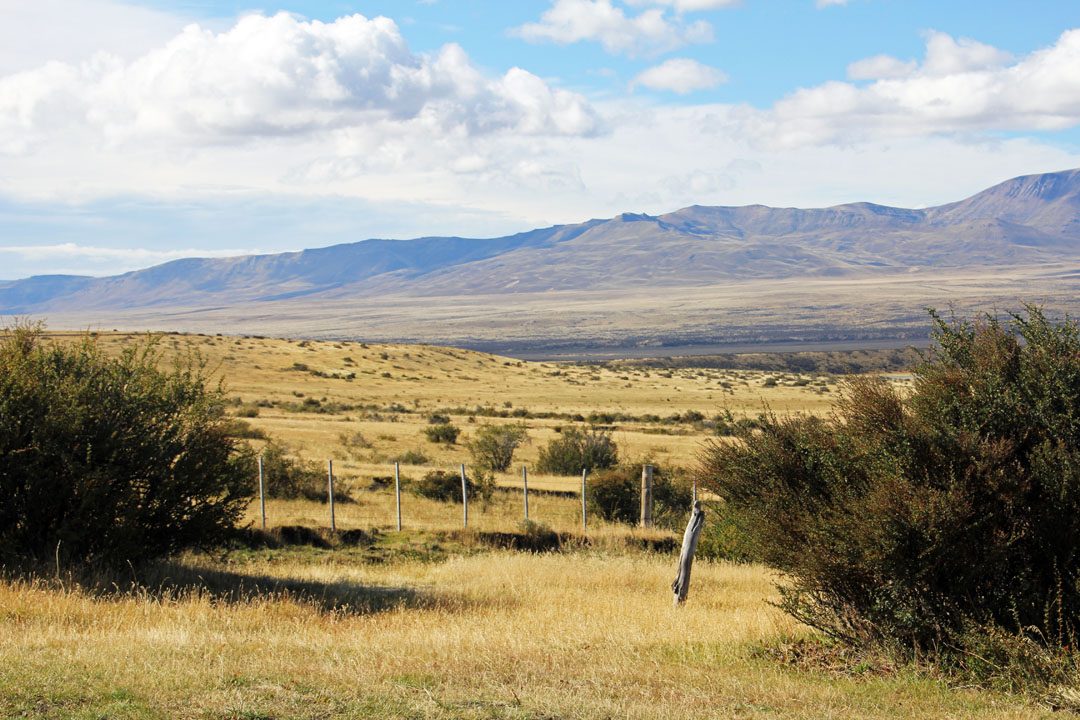 Paysage de Patagonie, pampa argentine