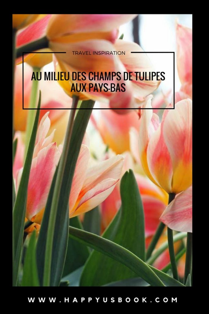 Au milieu des champs de tulipes aux Pays-Bas | www.happyusbook.com