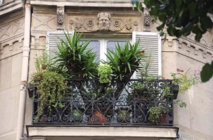 balcon parisien fleuri