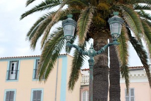 Palmier et lampadaire