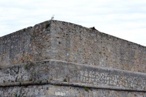 Fortifications Ajaccio en Corse