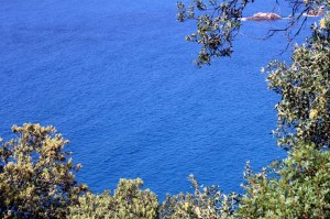 Calanques de Piana en Corse