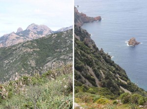 Route du Capo Rosso en Corse