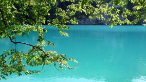 Lacs de Plitvice Parc Naturel Croatie