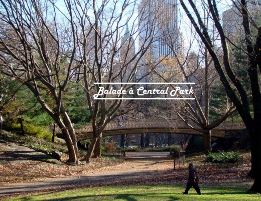 Balade à Central Park