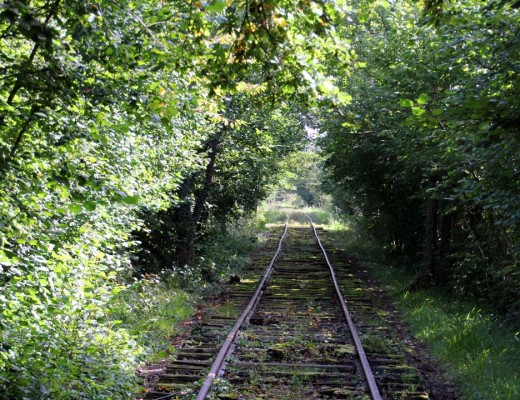 Voie de chemin de fer abandonnée