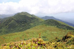 Vue sommet La Soufrière en Guadeloupe