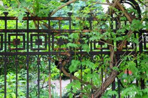Joli portail et verdure dans le quartier arménien de Bucarest