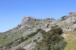 Visiter le Parc Naturel El Torcal en Espagne