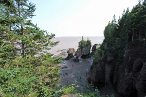 Le parc national de Fundy au Nouveau-Brunswick au Canada