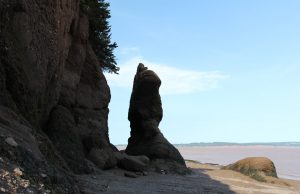 Découvrir les plus hautes marées au monde et les rochers Hopewell au Nouveau-Brunswick au Canada