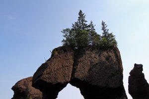 Les Hopewell Rocks ou pots de fleurs au Nouveau-Brunswick au Canada