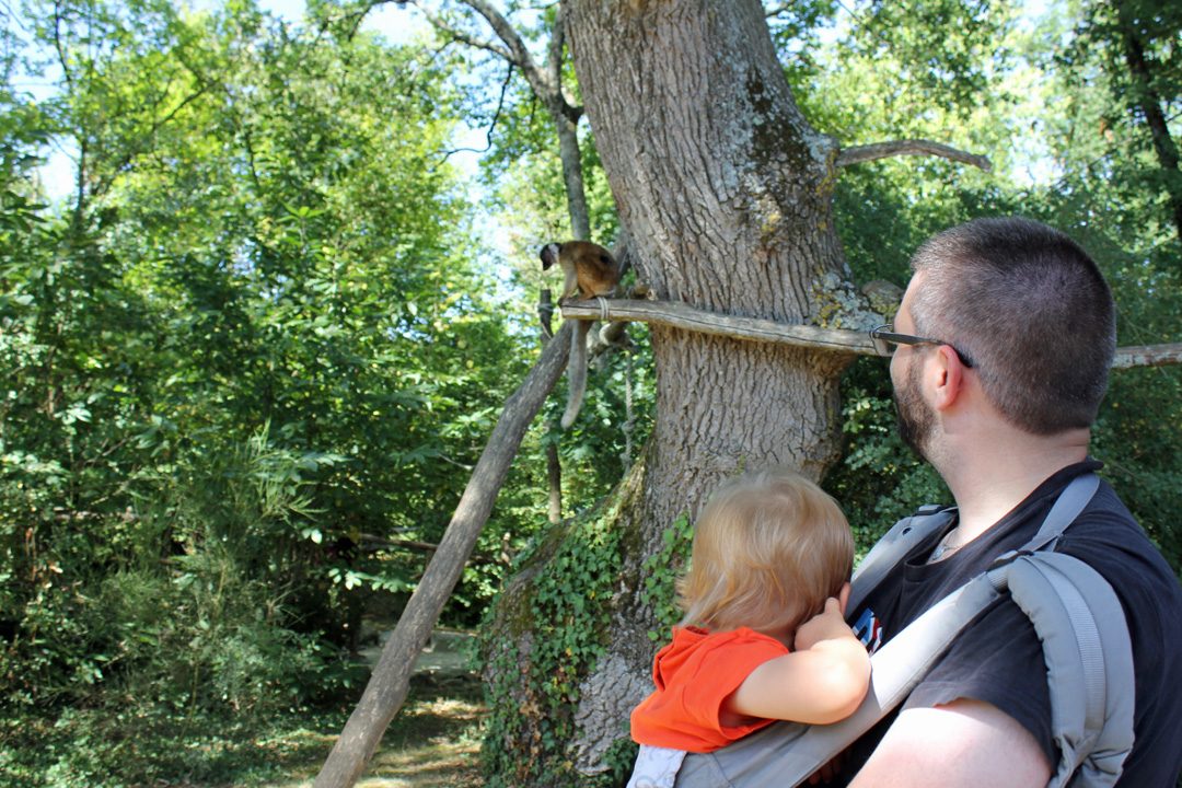 Visiter la vallée des singes avec un bébé
